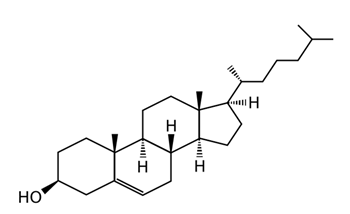 Struktur von Cholesterin